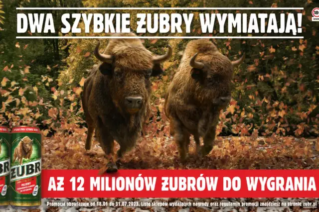 Do kiedy trwa promocja żubra? Nie przegap ostatniej szansy!