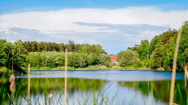 Zielona Góra co zobaczyć: najciekawsze atrakcje, które musisz poznać