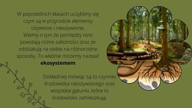 Co to jest szata roślinna i dlaczego jest kluczowa dla ekosystemu?