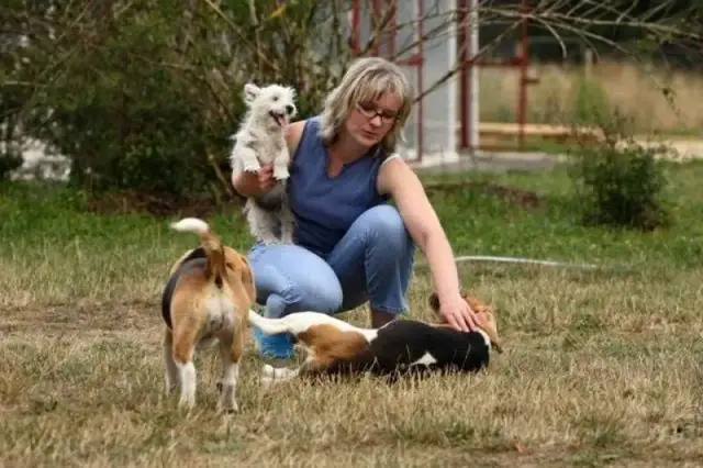 Mam psa i co teraz hotel? Sprawdź, jak wybrać najlepszy dla niego!