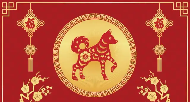 Pies jako chiński znak zodiaku: poznaj jego charakterystykę