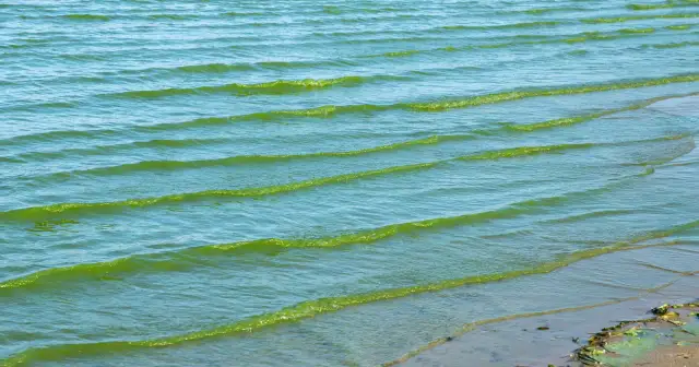 Kąpiel w Bałtyku: Bezpieczeństwo, sinice, prądy. Co musisz wiedzieć?