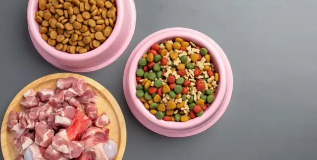 Jak przygotować jedzenie dla szczeniaka, aby zapewnić mu zdrowie
