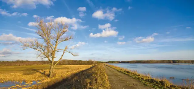 Mapa jezior Lubuskie – odkryj ukryte skarby regionu i plany wypoczynku