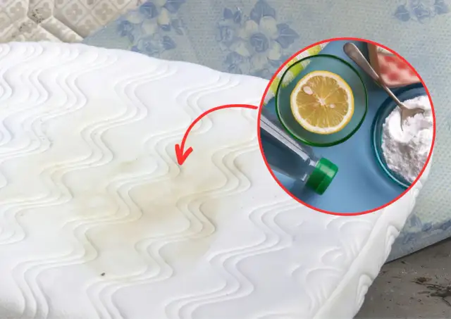 Czysty materac: domowe sposoby na plamy, odświeżanie i higienę