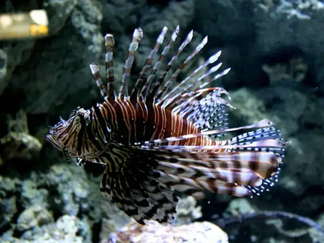 Oceanarium Lublin – wyjątkowe atrakcje, godziny otwarcia i ceny biletów