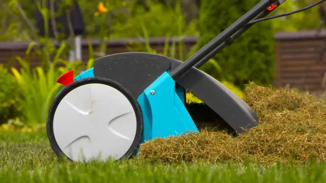 Rekultywacja trawnika: Kiedy i jak odnowić zniszczoną murawę?