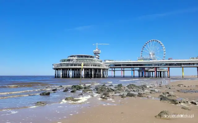 Gdzie leży Holandia? Morze Północne i jego atrakcje!