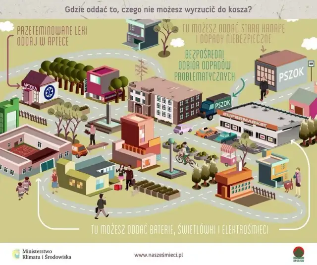 Jak ekologicznie wyrzucić stare zdjęcia? Poznaj 5 bezpiecznych metod