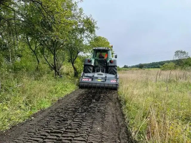 Ile kosztuje mulczowanie terenu? Sprawdź, co wpływa na ceny usług
