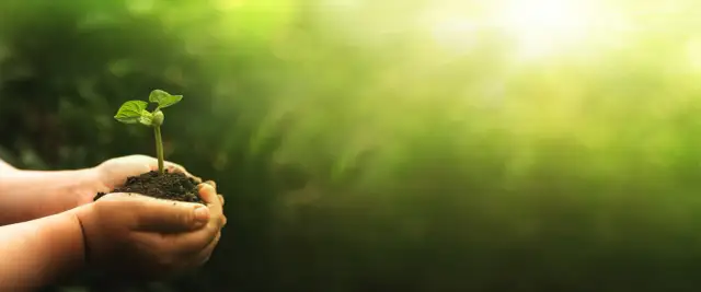 Kto był pomysłodawcą zielonego ładu i jakie są kontrowersje?