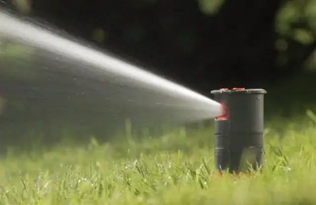 Zraszacz do małego ogrodu: Jaki wybrać? Praktyczny poradnik