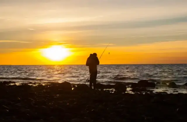 Kiedy łowić śledzie w Bałtyku, aby nie przegapić najlepszego sezonu