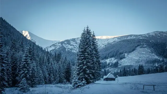 Chochołów: Gdzie zjeść smacznie? Odkryj kulinarne perły Podhala
