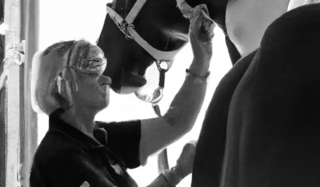 Ile zarabia weterynarz od koni? Zaskakujące fakty o wynagrodzeniach