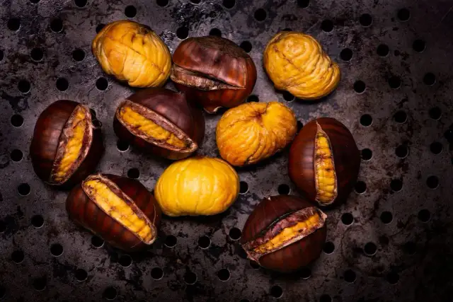 Kiedy jest sezon na kasztany jadalne i jak je najlepiej wybierać?