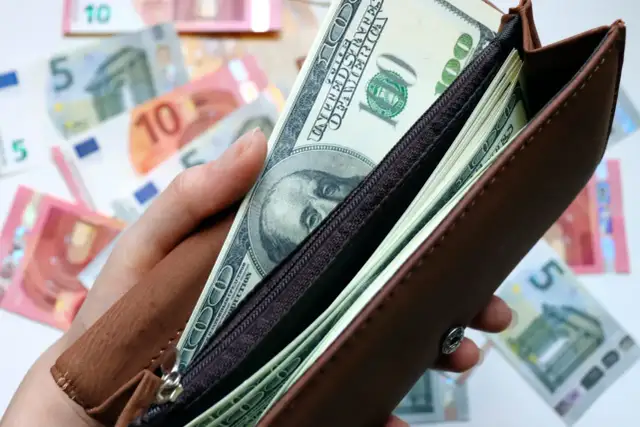 Dłoń trzyma brązowy portfel z banknotami dolarowymi i euro. Zastanawiasz się, w jaką walutę inwestować?