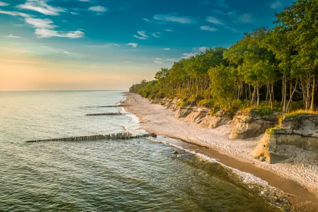 Piękny zachód słońca nad morzem, gdzie piaszczysta plaża z drzewami na klifie tworzy malowniczy krajobraz. W oddali widać spacerujące gąski.