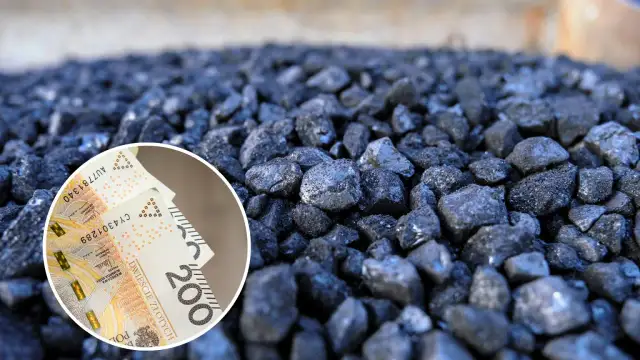 Jakie są aktualne ceny węgla w Biedronce i gdzie go kupić?