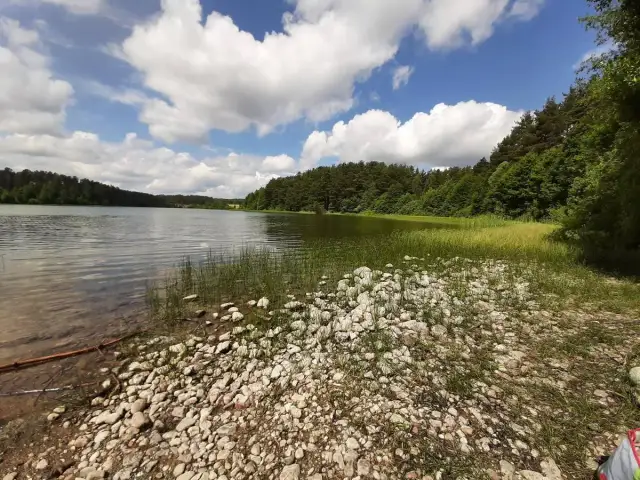 Sulęczyno: Przewodnik po atrakcjach Kaszub - co warto zobaczyć?