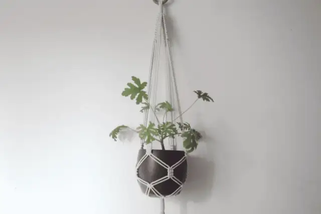 Jak zrobić makramę na doniczkę - proste kroki do pięknego kwietnika