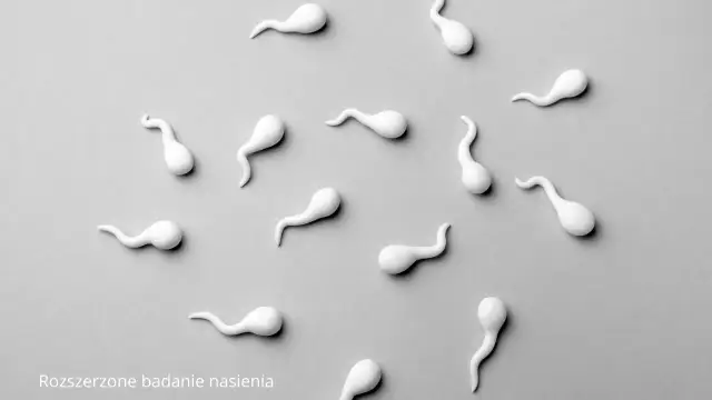 Badanie nasienia w domu: Przygotowanie krok po kroku do seminogramu