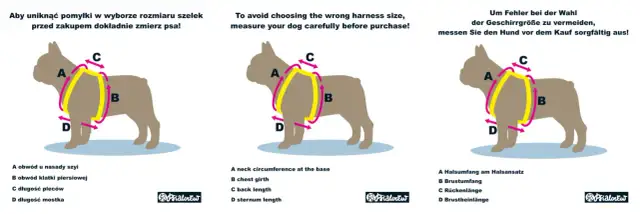 Szelki na ciągnięcie: Jaki typ wybrać i jak dopasować?
