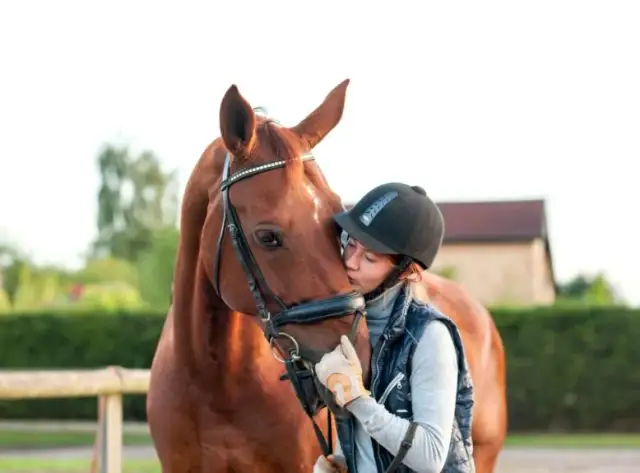 Jeździectwo w Łodzi - najlepsze kluby i możliwości nauki jazdy konnej