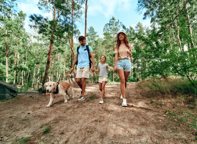 Gdzie w góry z psem: najlepsze trasy i miejsca przyjazne psom