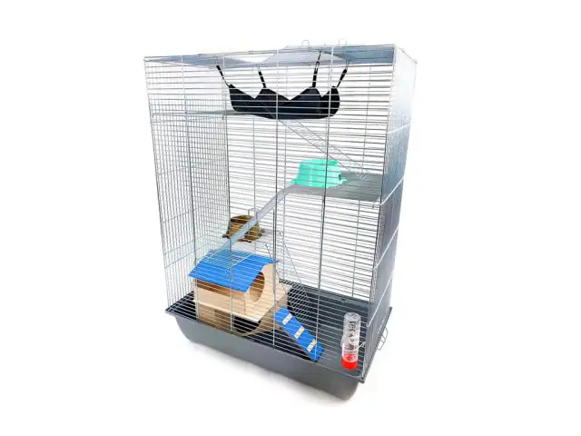 Co na dno klatki dla świnki morskiej? Najlepsze opcje, które pokochasz