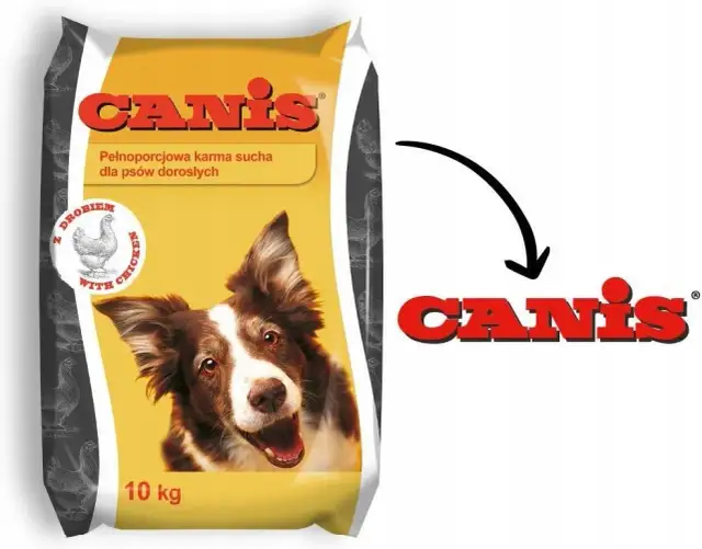 Ile kosztuje karma dla psa? Ceny, które mogą Cię zaskoczyć