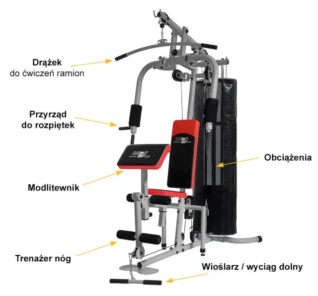 Jakie ćwiczenia na mięśnie? Twój atlas efektywnego treningu
