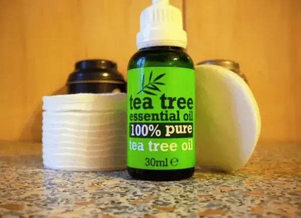Czy olejek z drzewa herbacianego naprawdę pomaga na trądzik?