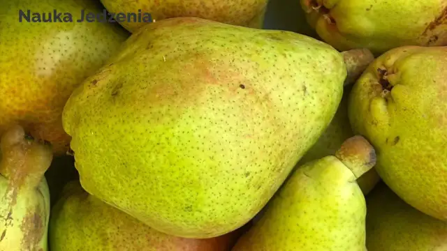 Gruszki: Zdrowie, Korzyści i Wartości Odżywcze Czy Są dla Ciebie?