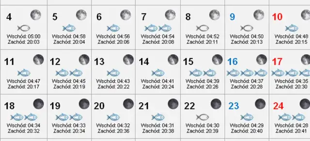Kiedy szczupak bierze? Kalendarz brań i wpływ pogody. Wędkarski poradnik.