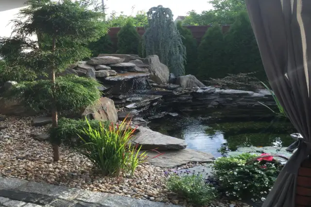 Oczko wodne: Koszty budowy od 1500 zł. Jak oszczędzić?