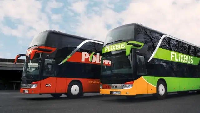 FlixBus (Polski Bus) z psem? Poznaj wyjątki i alternatywy!