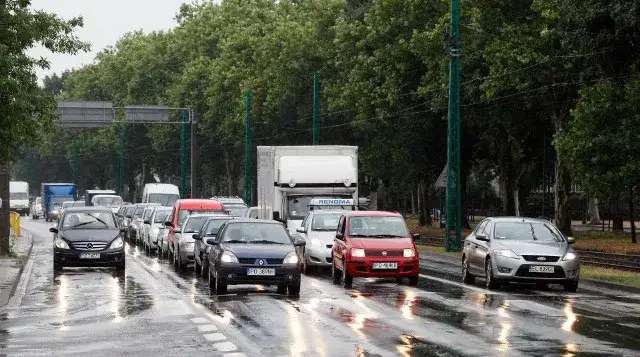 Ile płaci młody kierowca za OC? Ceny, zniżki i porady z forum