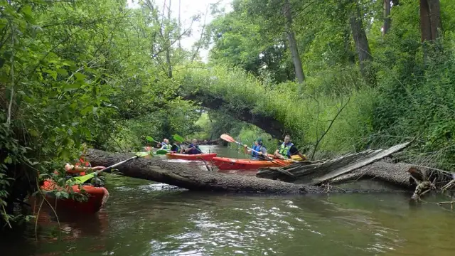 Spływ kajakowy Śląskie – odkryj najlepsze trasy i przygotowanie