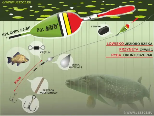 Spławik na żywca: wybierz idealny i łów drapieżniki jak ekspert!