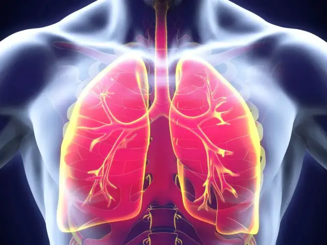 Widok klatki piersiowej z czerwonymi płucami. Czy płuca bolą? Zastanawiasz się, czy to normalne, gdy czujesz dyskomfort w klatce piersiowej.