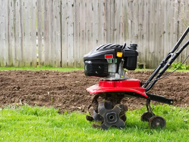Glebogryzarka jaką wybrać - uniknij kosztownych błędów przy zakupie