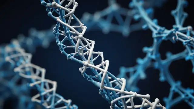 Kolagen: Dlaczego to białko jest kluczowe dla twojego zdrowia?