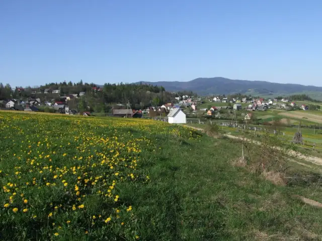 Falsztyn atrakcje: Odkryj najpiękniejsze miejsca i aktywności w regionie