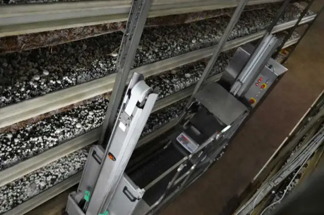 Ile kosztuje budowa pieczarkarni? Poznaj ukryte wydatki i oszczędności