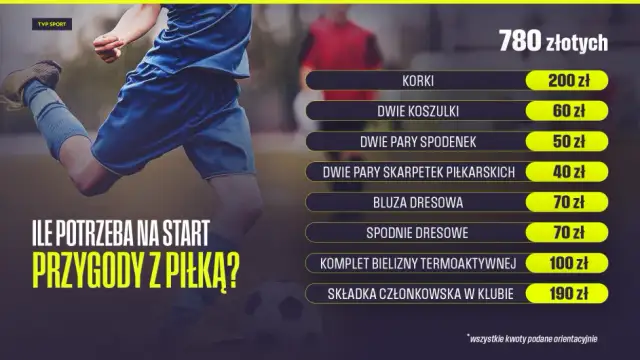 Ile kosztuje piłka nożna? Ceny (35-700 zł) i za co płacisz.