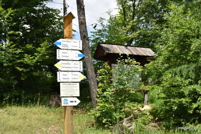 Góra Parkowa Krynica: Czas wejścia, szlaki, kolejka planuj spacer!