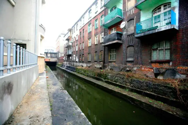 Jaka rzeka przepływa przez Katowice? Odkryj tajemnice Rawy