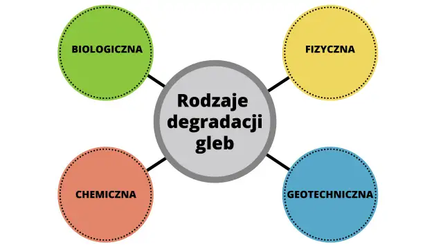 Cichy zabójca gleby: Skąd toksyny i jak chronić Twoją ziemię?
