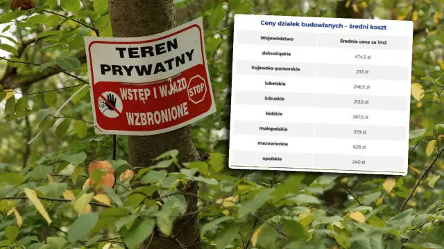 Ile kosztuje 1m2 działki budowlanej? Sprawdź aktualne ceny w Polsce